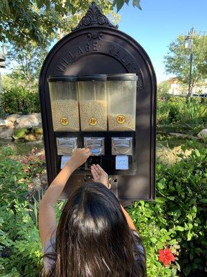 My kid trying to get every last Cheerio out to feed those turtles