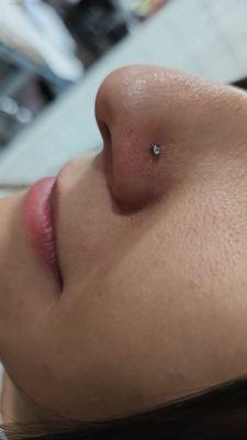 piercing by Jayp at KT DRAGON