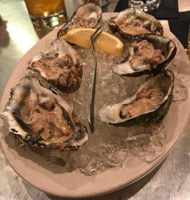 Half a dozen Oysters (Hutch & Harris: Winston-Salem, NC)