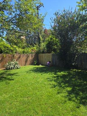 Fence repair