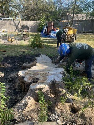 Stump removal