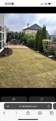 In this customer's backyard, we installed one pallet of Zion zoysia it came out great. My # 404-786-9655