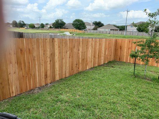 The new fence