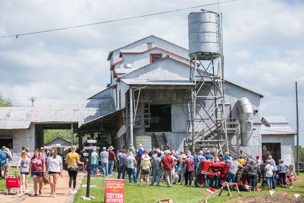 Burton Cotton Gin Festival 2022, photo by Gabri Means