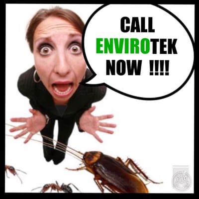 Got a problem with pest? Give us a call today at Envirotel Pest.....       618*BUGS    618*BUGS      618*BUGS