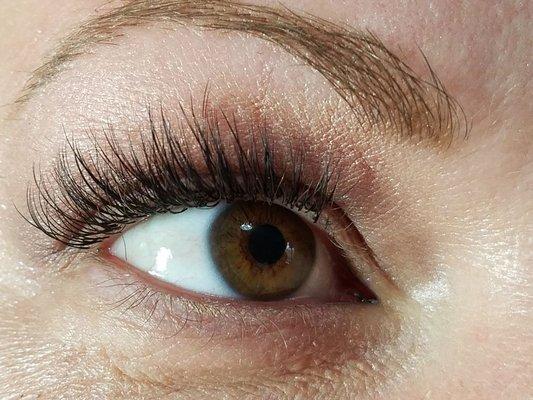 Lash  extensions