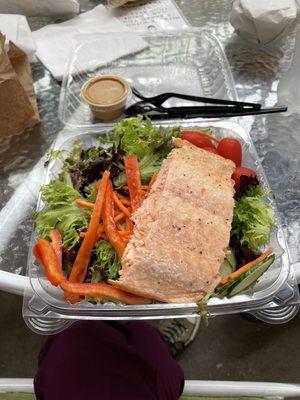 Garden salad with baked salmon.  YUM!!