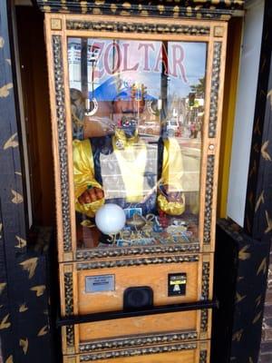 Zoltar Knows