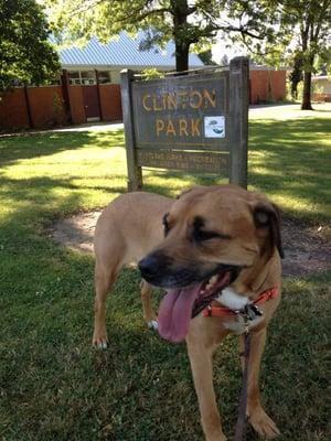 Dogs Love Parks!