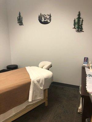 Massage Therapy Room