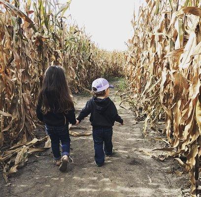 The corn maze is fun for all :)