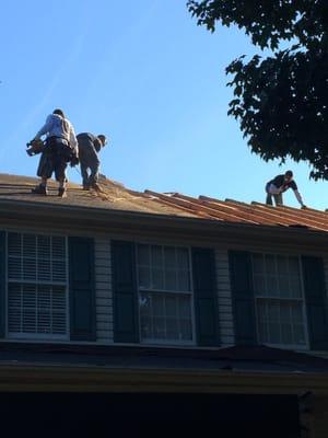 Changing all the plywood