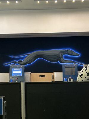 Greyhound symbol