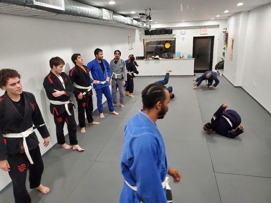 Adult brazilan jujitsu