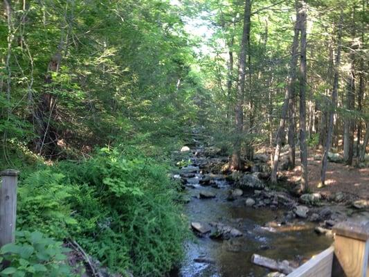 Stream along the hike to the beach.