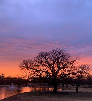 Texas Sunset