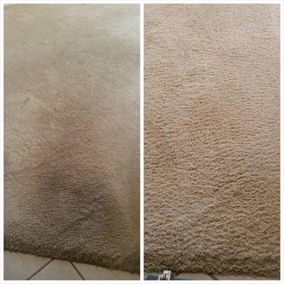 Wear and tear from carpet that is twenty years old. I do not believe has ever been cleaned.