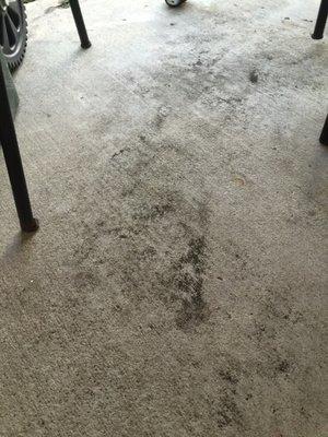 Concrete never cleaned.