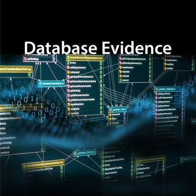 Database forensics is used to investigate database content and metadata. We help clients get through discovery process and find evidence.