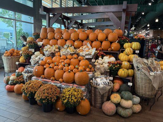 Fall is on its way at the fresh market!