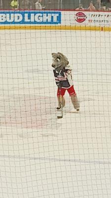 Hartford Wolfpack vs. Bridgeport Islanders hockey game - February 9, 2024