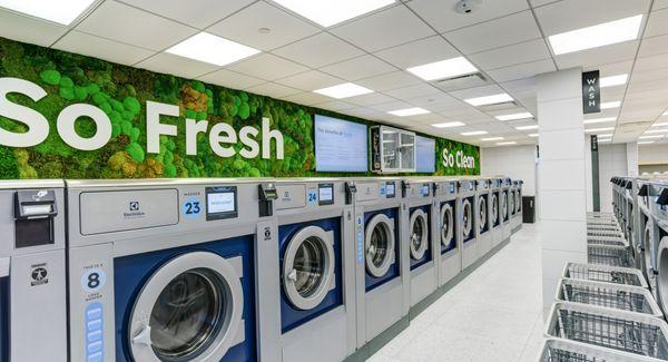 Our awesome moss wall brings a brings nature into the concrete jungle at Brooklyn's Cleanest Laundromat!