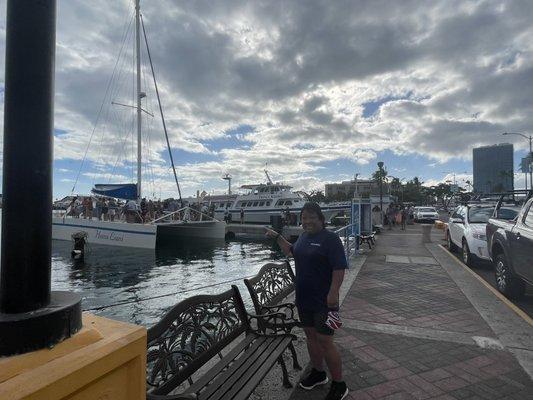 Catamaran cruise