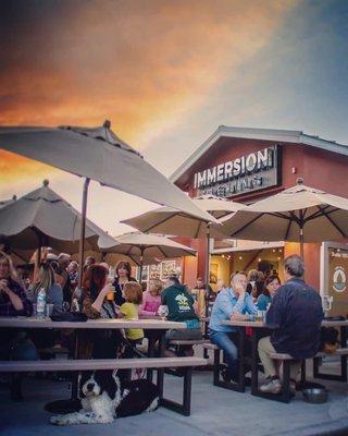 Immersion Brewing