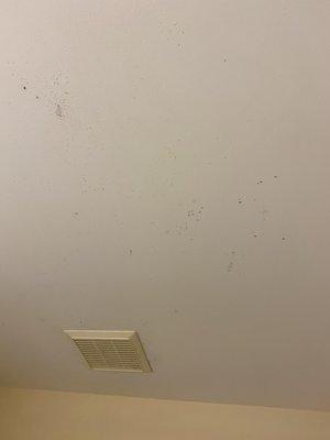 mold in the bathroom left unaddressed for two years