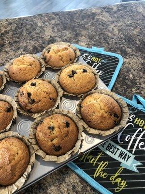 Fresh Cappuccino Chocolate Chunk Muffins