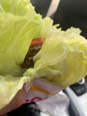 Hamburger protein style w/ grilled onions