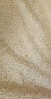 Rice on the dirty mattress pad