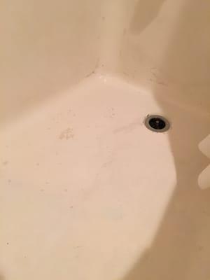 Filthy Stained Tub That Wouldn't Drain