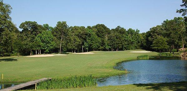 Hole #4 Great Par 5