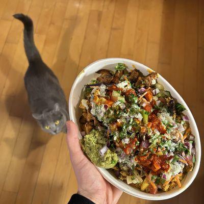 Built my own bowl & someone wants a bite