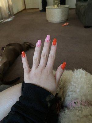 Gel mani fr my dogs lol