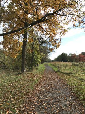 Straight rail along the creek