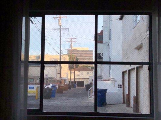 View of garbage cans outside our window.