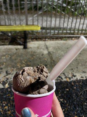 Chocolate fudge brownie ice cream