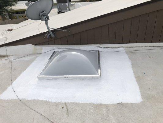 Skylight Repair/Replacement