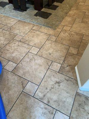 Before grout cleaning