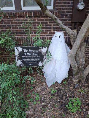 Eudora Welty House and Garden