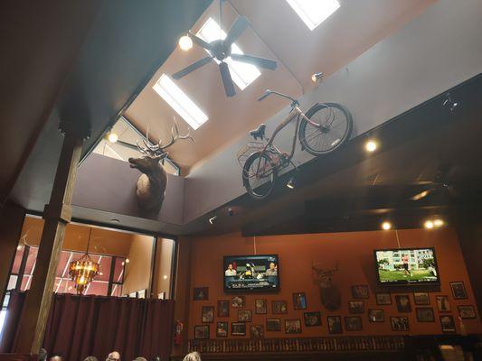 interesting decor... deer head & a bike