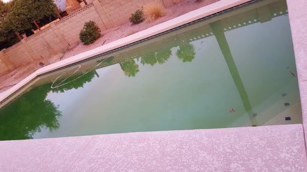 This is our pool two days after it was "serviced"..  maybe service means something else than what I thought..  disappointed