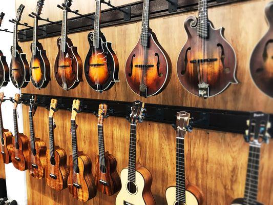 The largest inventory or Mandolins and Ukuleles in South Florida