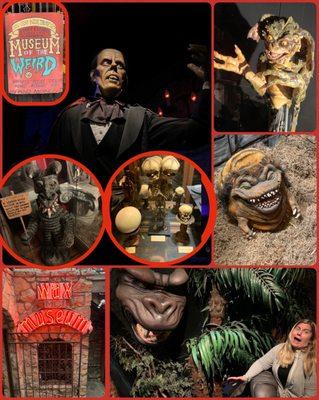 Some Oddities and Wax museum things