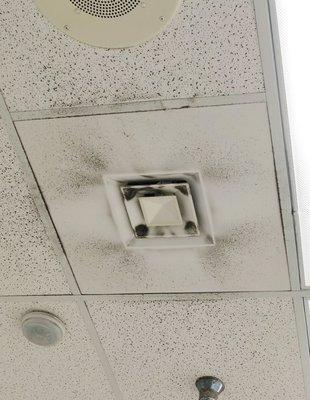 Pocatello store needs to have their air vents cleaned. Looked like black mold in person.