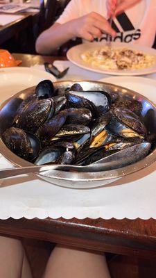 Steamed mussels in white sause