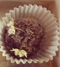 Raw Cacao Flowers on a Hawaiian Grown Vanilla and Coconut Ganache Truffle.