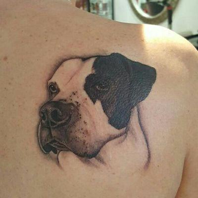 Pit bull. Artist by eddie